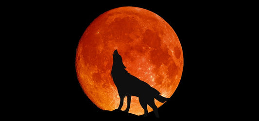 January Wolf Moon