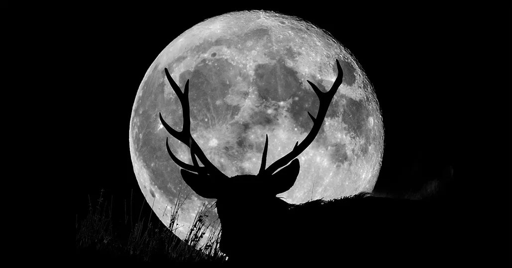 July Full Buck Moon