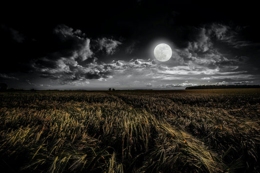 September Harvest Full Moon