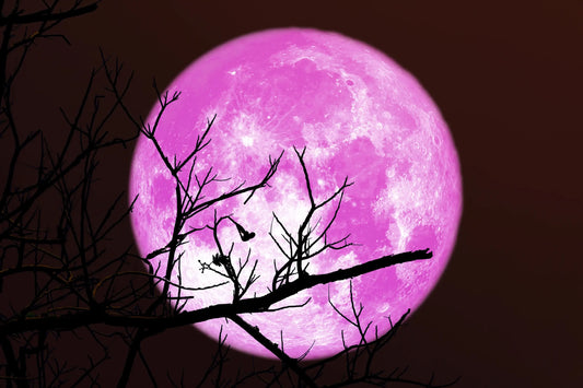 April "Pink" Full Moon