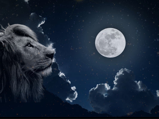 January Full Moon - Wolf Moon