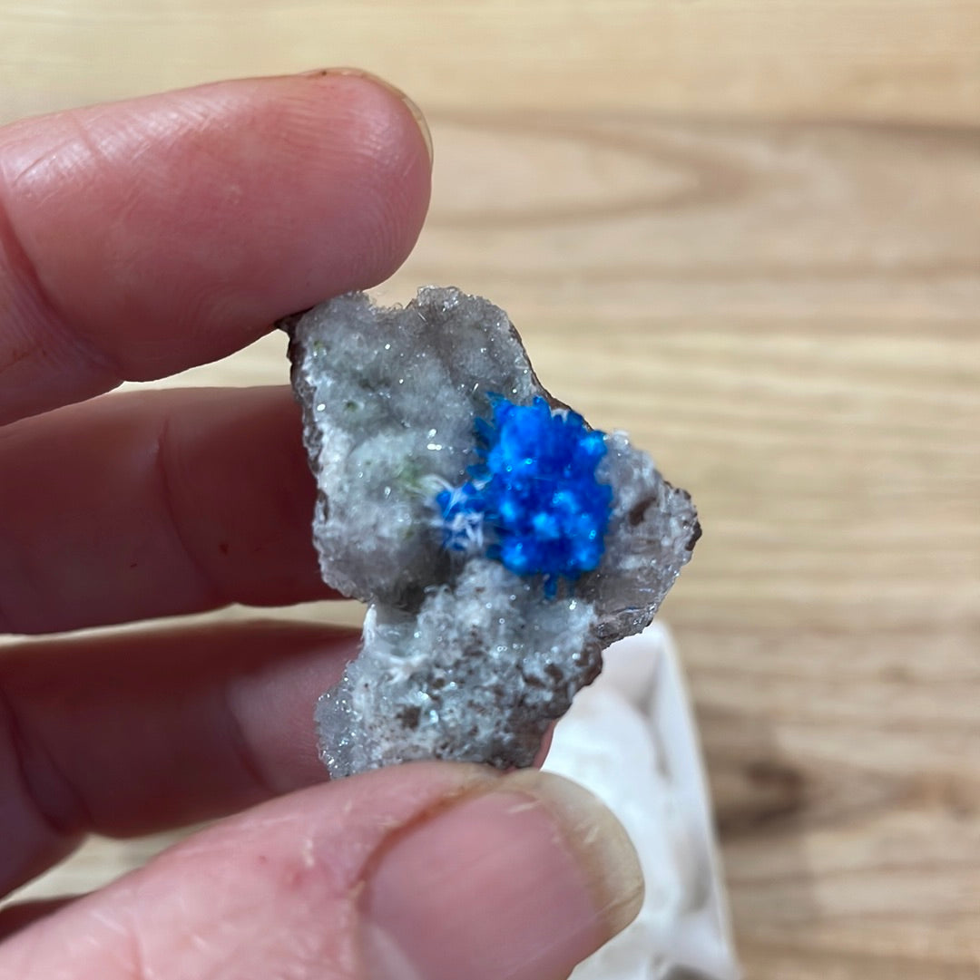 Blue Cavansite, Untreated Unheated Cavansite, buy Petite Cavansite L 12mm W 10mm Depth 7mm