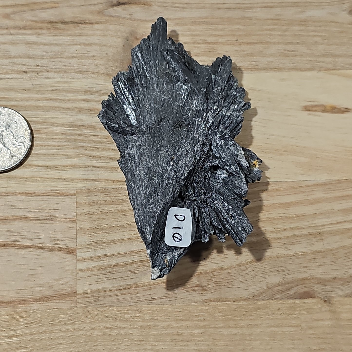 Black Kyanite - Raw pieces