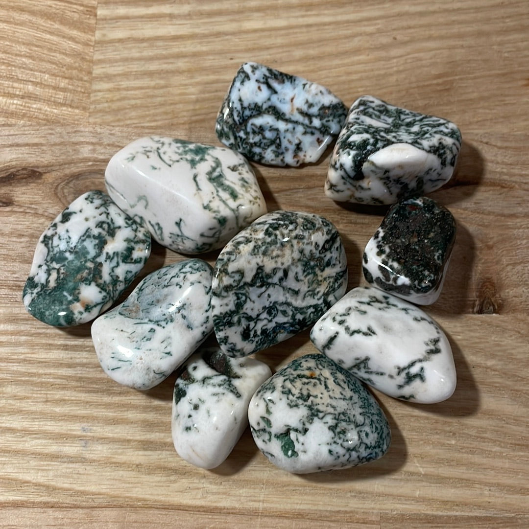 Tree Agate