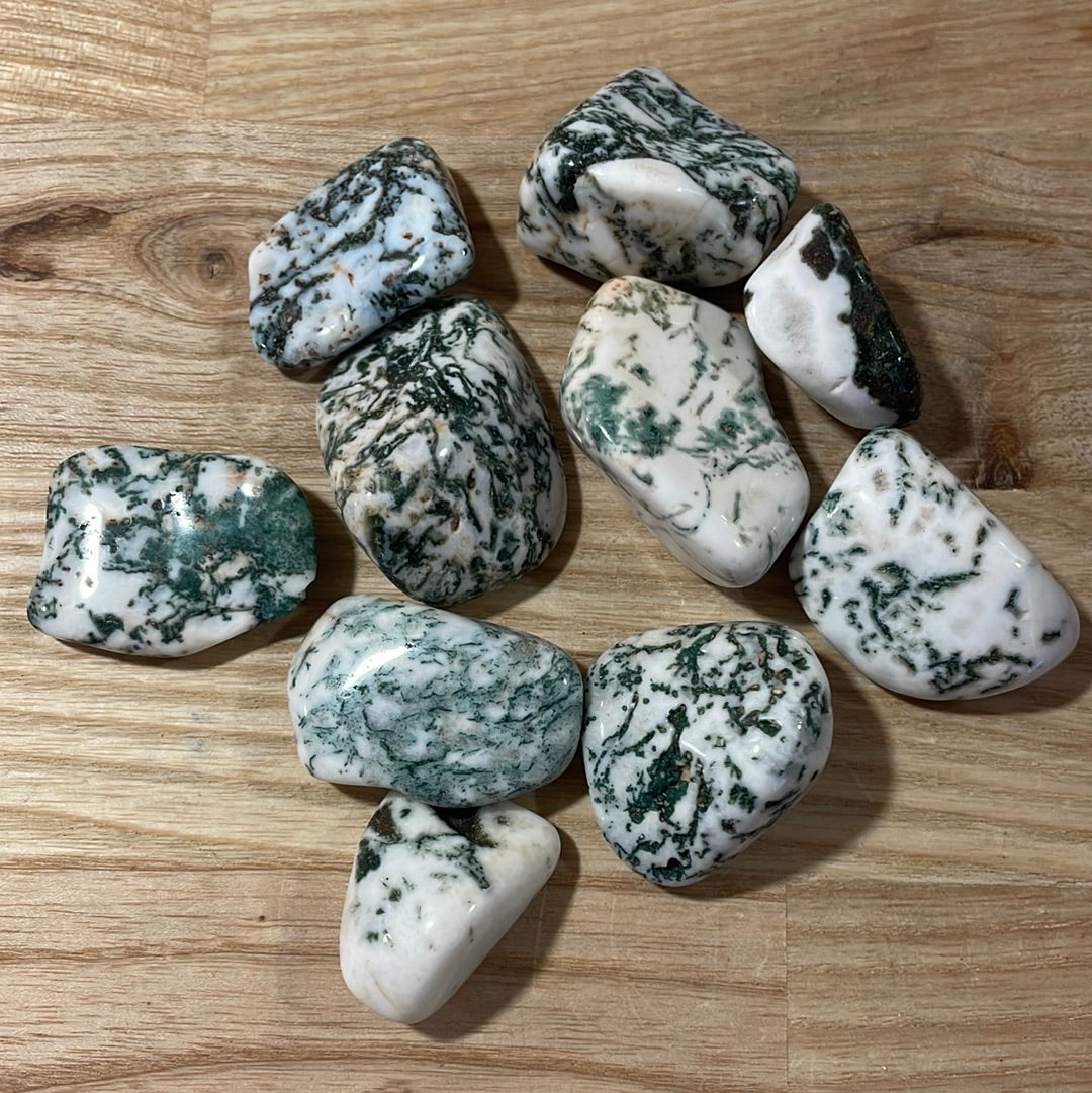 Tree Agate