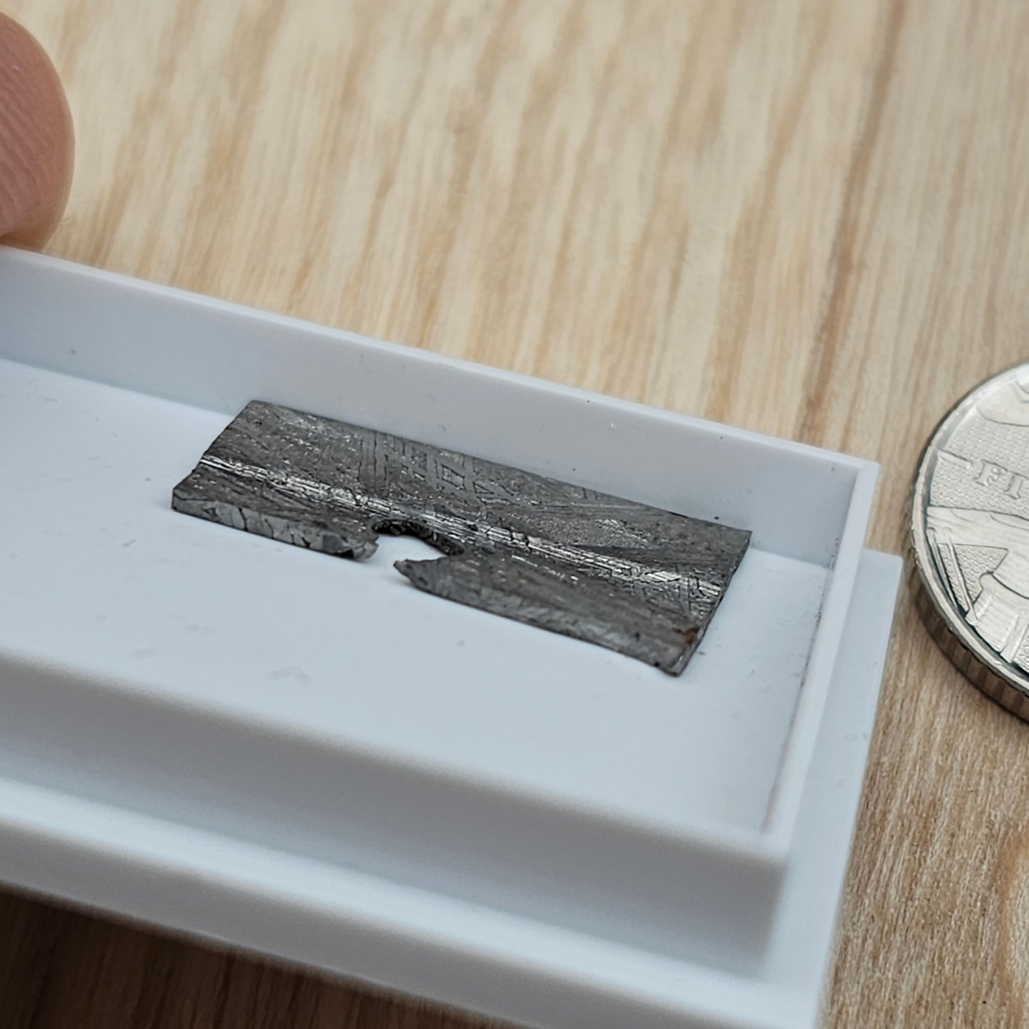 Muonionalusta Meteorite Slices with Widmanstatten