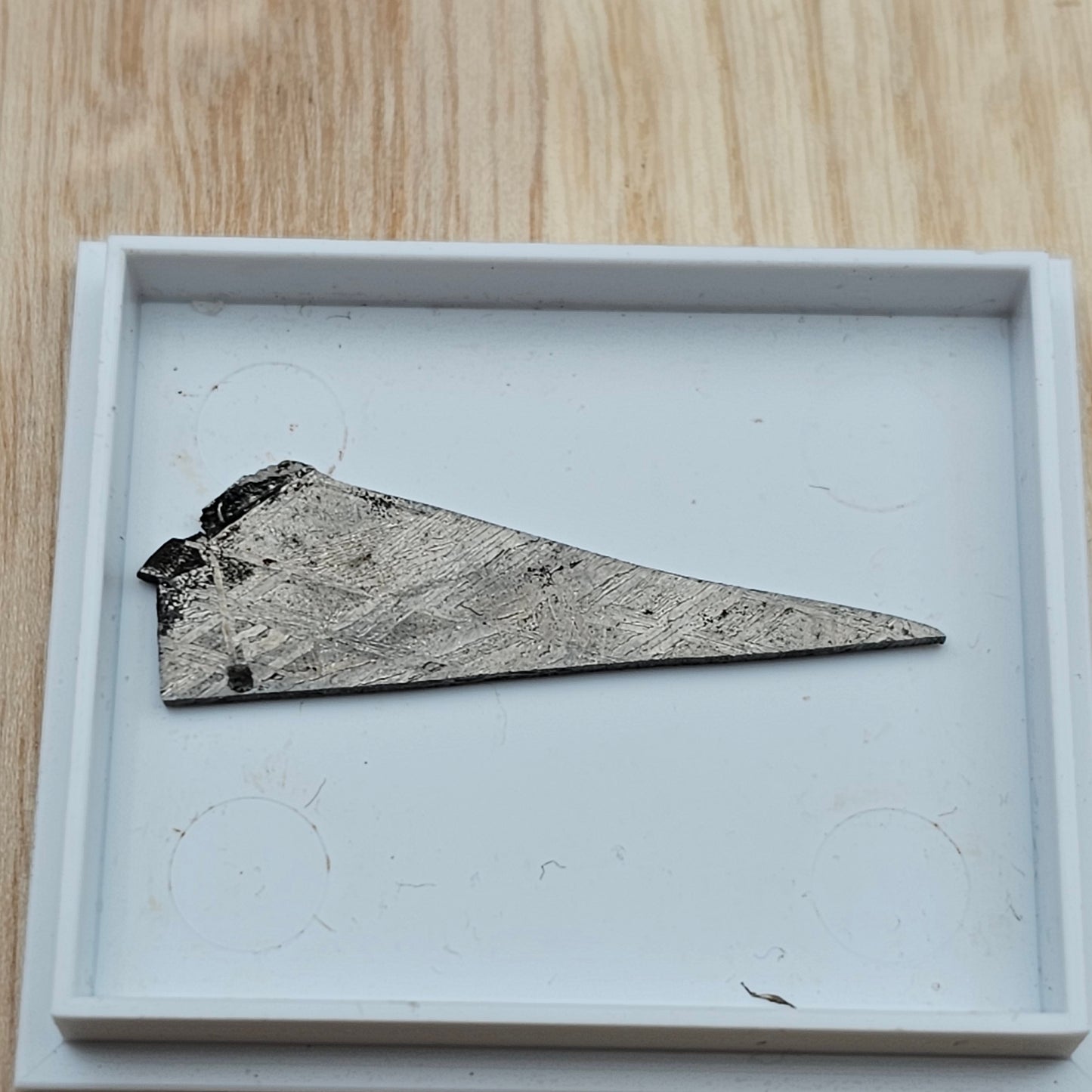 Muonionalusta Meteorite Slices with Widmanstatten