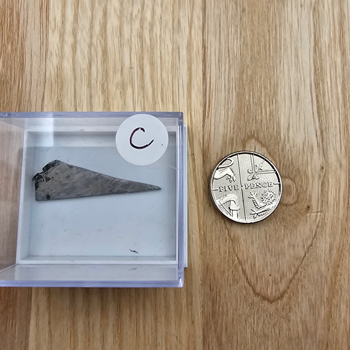 Muonionalusta Meteorite Slices with Widmanstatten