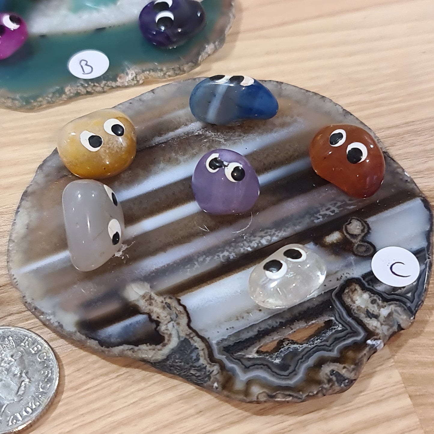 Agate Slice with Crystal Bugs