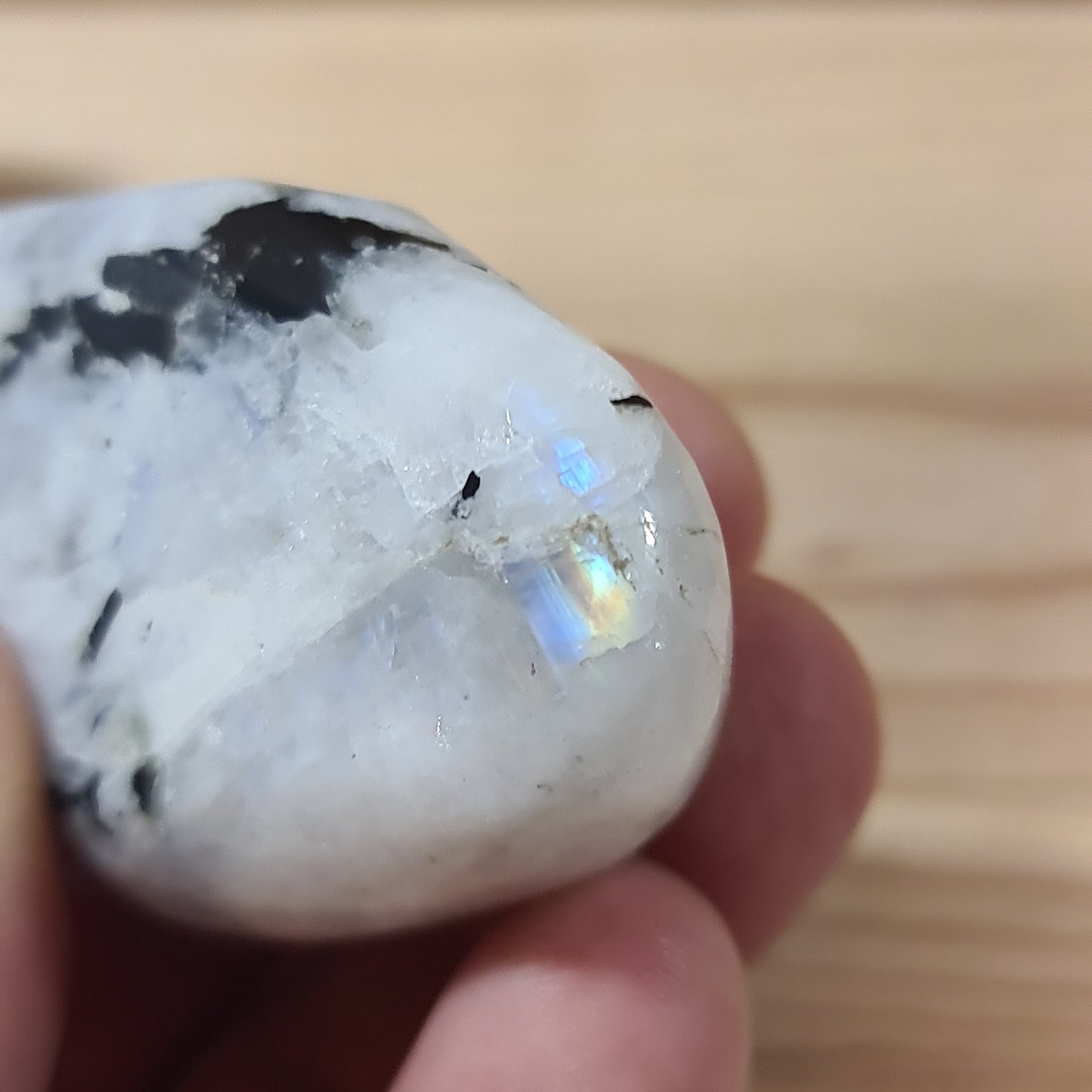 Rainbow Moonstone Freeforms