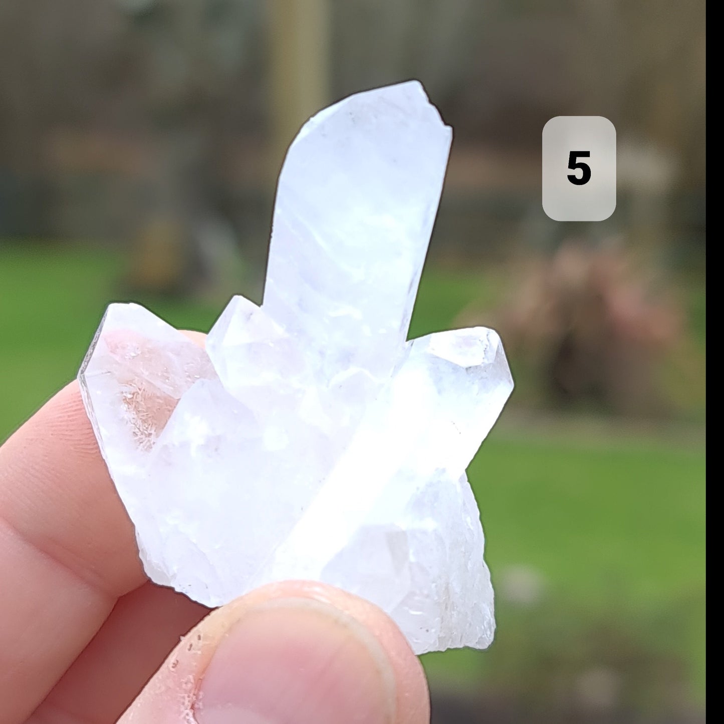 Clear Quartz Mini Cluster - Q5