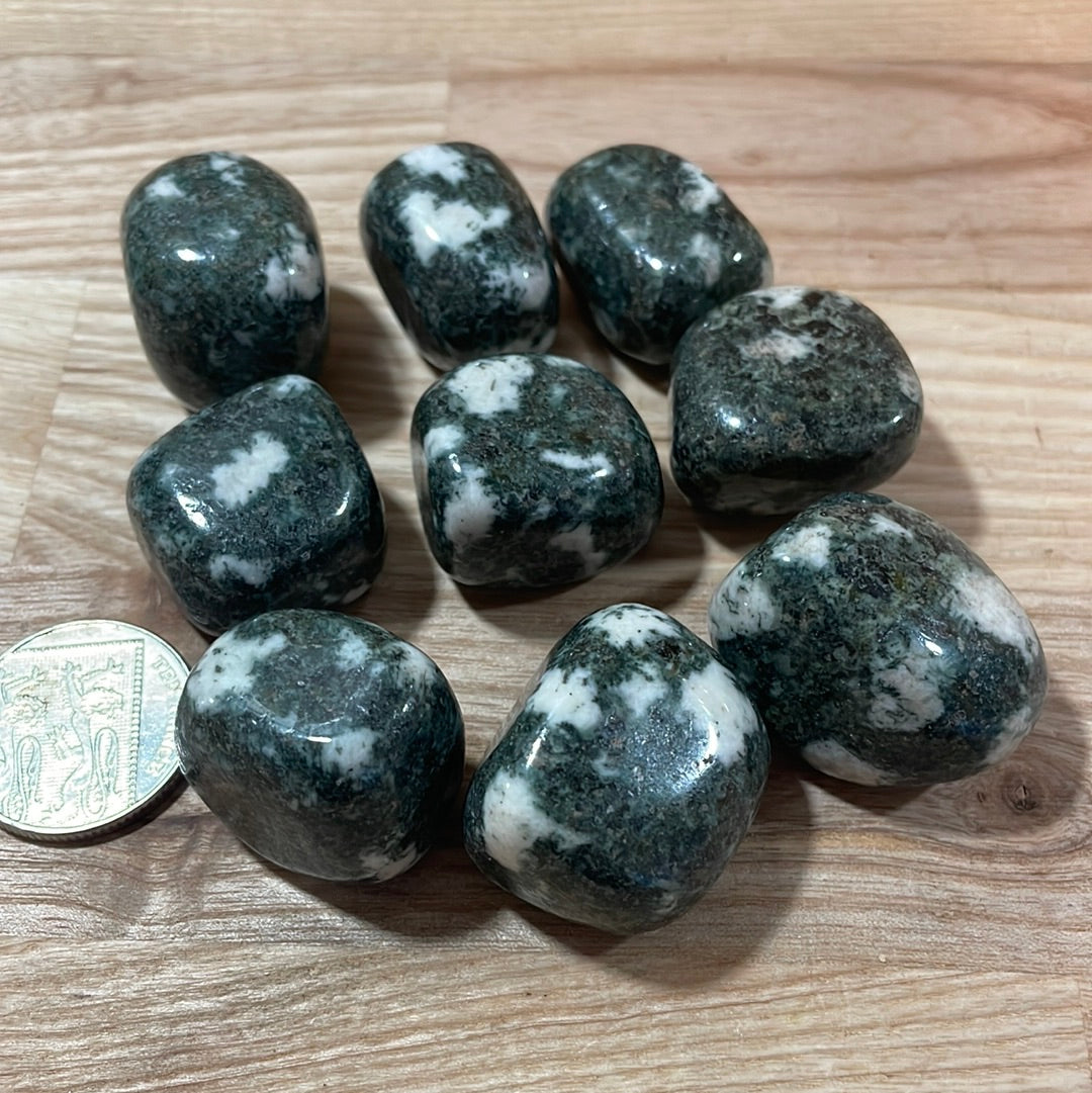 Preseli Bluestone (Stonehenge Stone) Tumblestone