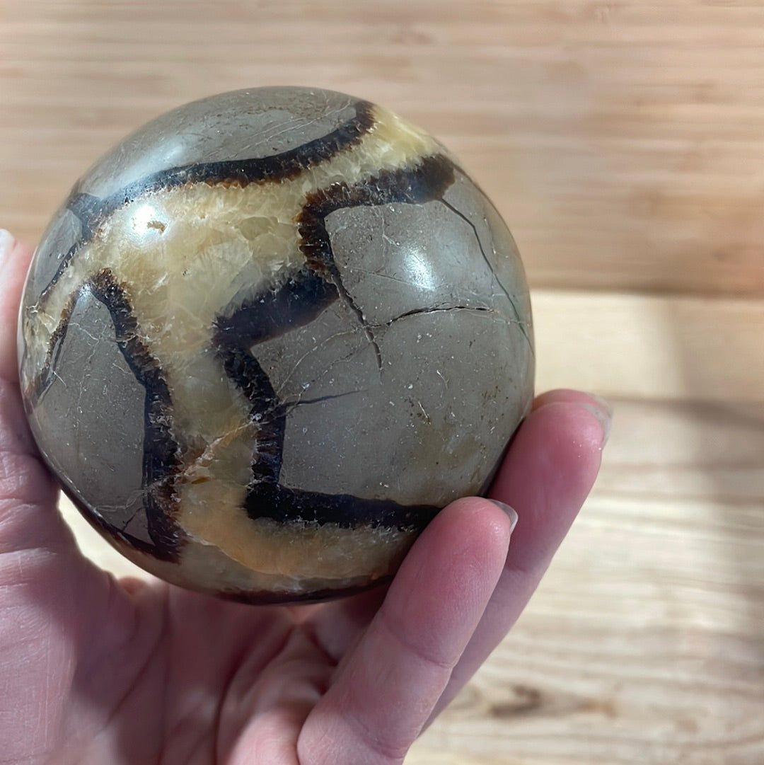 Septarian Sphere (7-8cm)